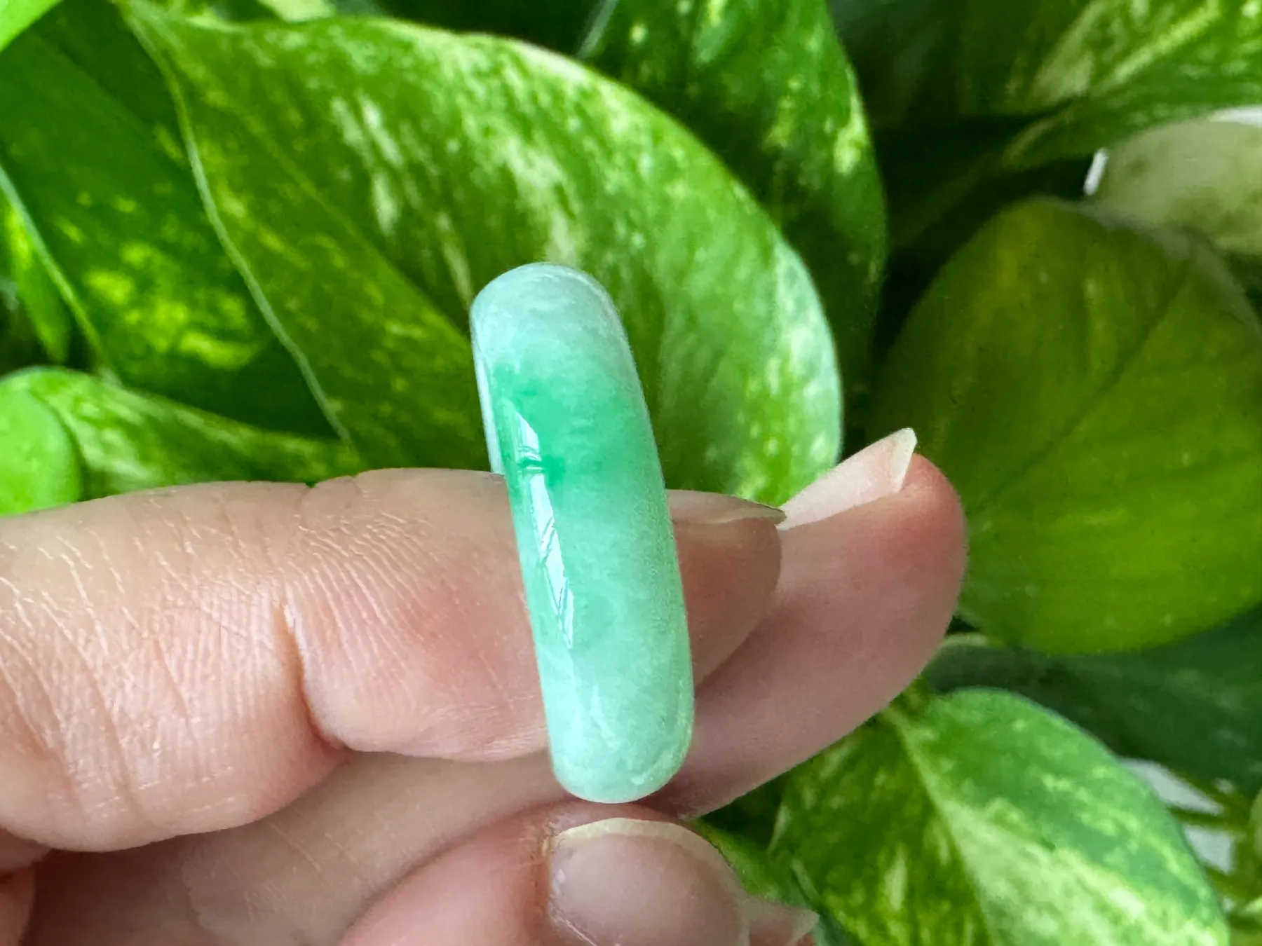 Type A Burmese Jade Ring | 18.6 mm | HK 18
